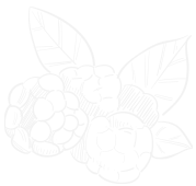 Healthy lifestyle themed decorative animation